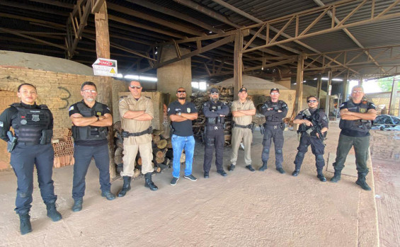 No sul do Estado, Polícia Civil incinera mais de 60 kg de substâncias entorpecentes 