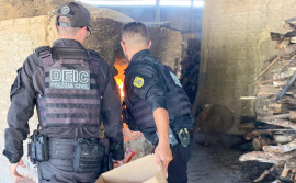 No sul do Estado, Polícia Civil incinera mais de 60 kg de substâncias entorpecentes 