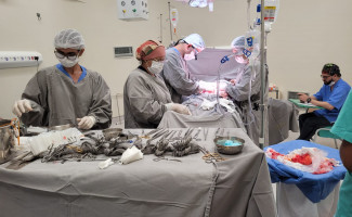 Hospital Geral de Palmas realiza 6ª captação de órgãos em 2023