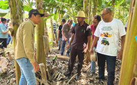 Ruraltins e parceiros promovem Dia de Campo sobre o cultivo de banana irrigada em Ponte Alta do Bom Jesus