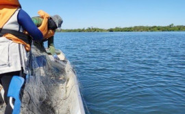 Naturatins orienta sobre regras da Portaria da Piracema e da Pesca Profissional
