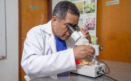 Herbário da Unitins comemora 18 anos de contribuição para o avanço do conhecimento sobre a diversidade da flora tocantinense