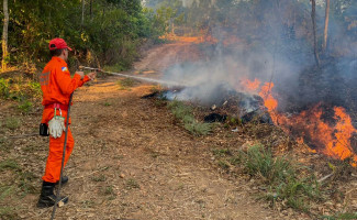 Tocantins reduz 40% da área queimada, 25% dos focos de calor e cai para a sétima posição no ranking nacional de queimadas em 2023