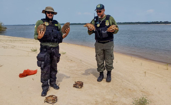  Naturatins recolhe 3,5 mil metros de redes em rios da área do Cantão