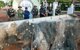  Naturatins recolhe 3,5 mil metros de redes em rios da área do Cantão