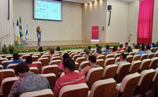 Governo do Tocantins debate ações para controle das arboviroses com os 139 municípios