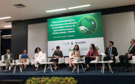 Governo do Tocantins contribui com a Atualização da Estratégia e Planos de Ação Nacionais para a Biodiversidade, em Brasília