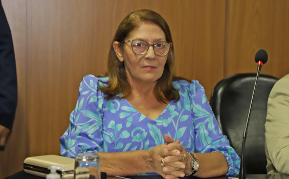 Governador em exercício Laurez Moreira é homenageado com o Título de Cidadão Honorário em Palmeirópolis