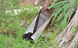 Governo do Tocantins realiza a Semana Estadual de Prevenção e Controle das Arboviroses