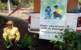 APA Lago de Palmas distribui mudas de árvores frutíferas e do Cerrado aos moradores de Luzimangues