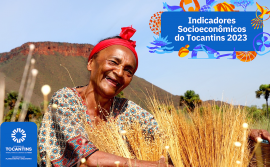 Governo do Tocantins divulga atualização dos indicadores socioeconômicos do Estado