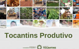 Governo do Estado recebe autorização para contratar crédito externo para o programa Tocantins Produtivo