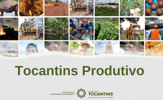 Governo do Estado recebe autorização para contratar crédito externo para o programa Tocantins Produtivo