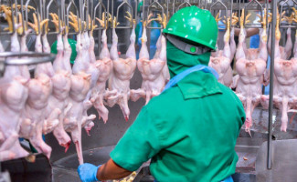 Governo do Tocantins agiliza abertura de empresas e registra aumento no número de empreendimentos em 2023