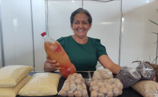 Governo do Tocantins Institui Semana e Dia da Mulher Rural para Valorizar Trabalho no Campo