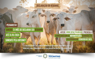 Declaração anual do rebanho deve ser feita até dia 31 de janeiro