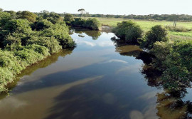 Governo do Tocantins inicia processo eleitoral para nova composição do Comitê das Bacias Hidrográficas dos Rios Santo Antônio e Santa Tereza