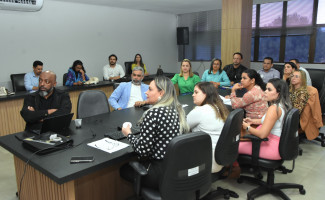 SES-TO discute a ampliação dos serviços da Câmara Técnica de gestão do SUS 