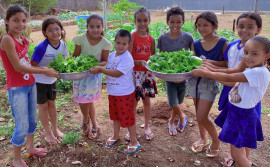 Prêmio Escola que Transforma: Escola Rural de Nova Rosalândia conquista o 3º lugar com o projeto sobre alimentação orgânica