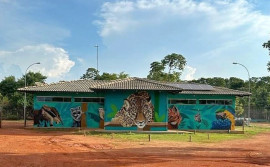 Centro de Fauna do Tocantins: cuidado e compromisso com a preservação da fauna silvestre