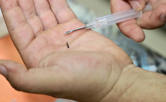 Centro de Fauna do Tocantins: cuidado e compromisso com a preservação da fauna silvestre