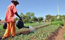 Governo do Tocantins vai investir mais de R$ 600 mil em treinamento e capacitação de técnicos do Ruraltins para ampliar o crédito rural