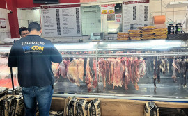Procon Tocantins encontra variação de até de 128,76% nos preços de carnes nos açougues de Palmas