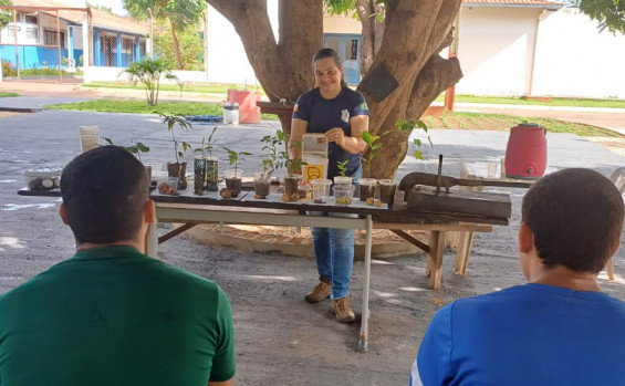 Unidades socieducativas iniciam plantio de frutíferas do Cerrado como resultado de projeto realizado com internos