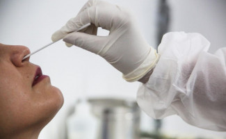 Governo do Tocantins disponibiliza testes RT-qPCR para a covid-19 e outros vírus respiratórios