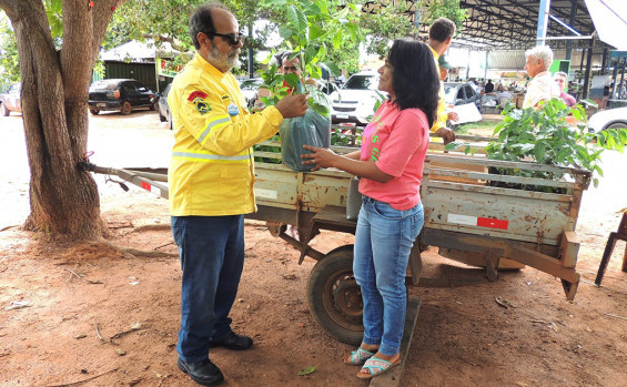 Naturatins distribui 600 mudas de árvores nativas do Cerrado, em Luzimangues