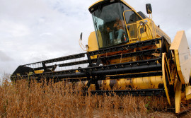 Colheita da soja inicia nas principais regiões do Tocantins