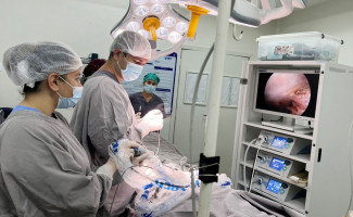 Hospital Regional de Paraíso realiza primeira cirurgia de videolaparoscopia
