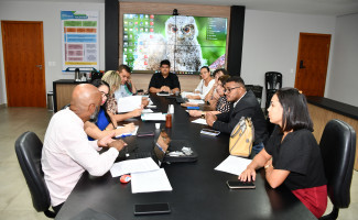 SES-TO discute a ampliação dos procedimentos eletivos nos municípios do Vale do Araguaia