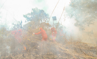 Defesa Civil Estadual vai ministrar Curso de Brigada Florestal aos Municípios
