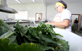Governo do Tocantins abre Chamada Pública para aquisição de produtos da agricultura familiar para escolas estaduais de Palmas e região