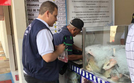 Agência de Metrologia orienta consumidores sobre a compra de pescado no período quaresmal