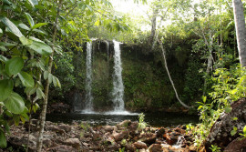 Semarh alerta municípios para prazo de preenchimento do Questionário do ICMS Ecológico do Tocantins ano-base 2023
