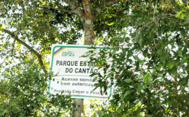 Conselho Consultivo do Parque Estadual do Cantão publica Edital de Chamamento para composição do biênio 2023-2025