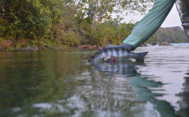 Governo do Tocantins seleciona empresas para a 16ª edição do Pesca Trade Show em São Paulo