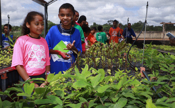 Governo do Tocantins lança projeto Sementinhas do Cerrado com objetivo de promover a consciência ambiental de estudantes