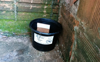 SES-TO realiza ações de monitoramento do Aedes Aegypti por oviposição no município de São Félix