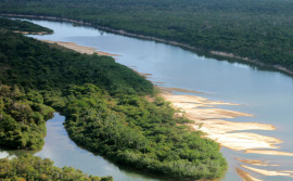 Naturatins orienta interessados em participar do Conselho do Parque Estadual do Cantão que prazo do Edital de Chamamento Público segue até a terça, 12
