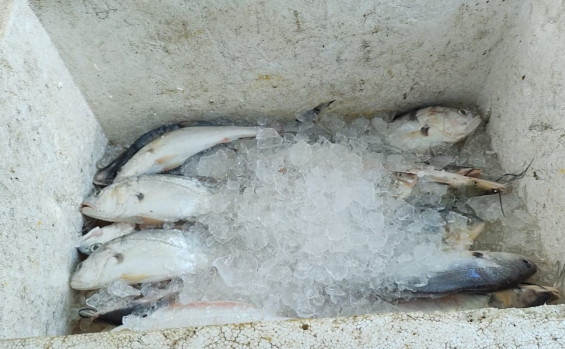 No combate à pesca predatória, Naturatins apreende 5.950 metros de redes, 40 quilos de pescado e aplica mais de R$ 14 mil em multas