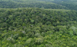 Semarh alerta sobre fim do prazo para preenchimento do Questionário do ICMS Ecológico do Tocantins, que encerra na sexta-feira, 15