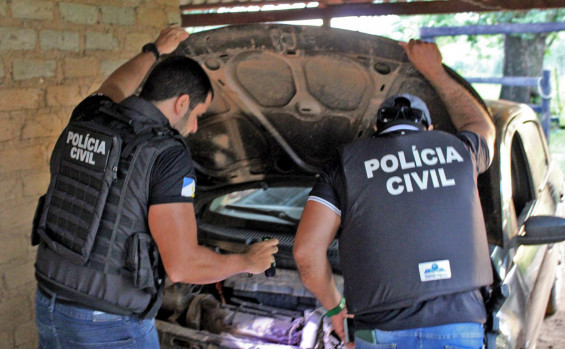 Em Almas, Polícia Civil deflagra operação contra furto de gado, apreende armas de fogo e prende homem por posse ilegal