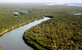 Naturatins divulga lista de entidades interessadas em compor o Conselho do Parque Estadual do Cantão