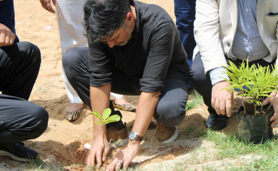 Governo do Tocantins planta mudas nativas com o projeto Plantando Água e inaugura Parque Temático na Semana Estadual da Água em Gurupi