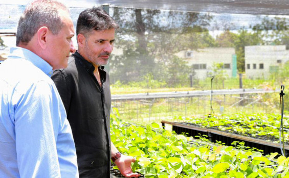 Governo do Tocantins planta mudas nativas com o projeto Plantando Água e inaugura Parque Temático na Semana Estadual da Água em Gurupi