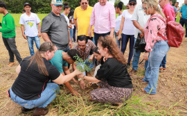Governo do Tocantins celebra Semana Estadual da Água com projeto Plantando Água no município de Almas