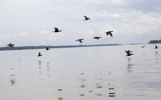 No Dia da Água, Governo do Tocantins reforça compromisso com a gestão dos recursos hídricos